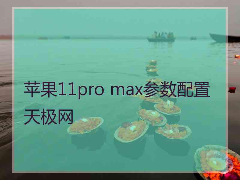 苹果11pro max参数配置天极网