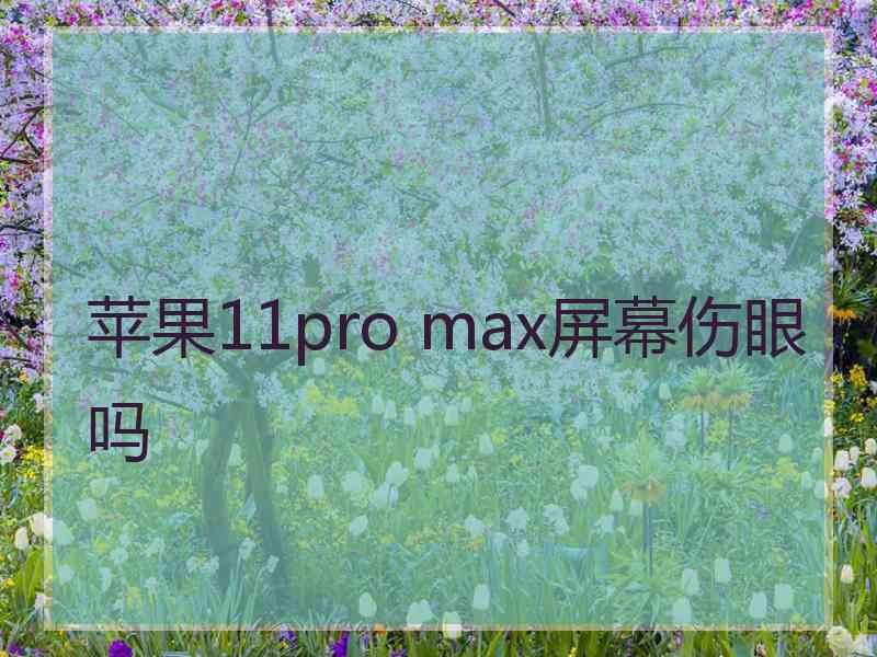 苹果11pro max屏幕伤眼吗