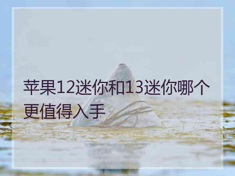 苹果12迷你和13迷你哪个更值得入手