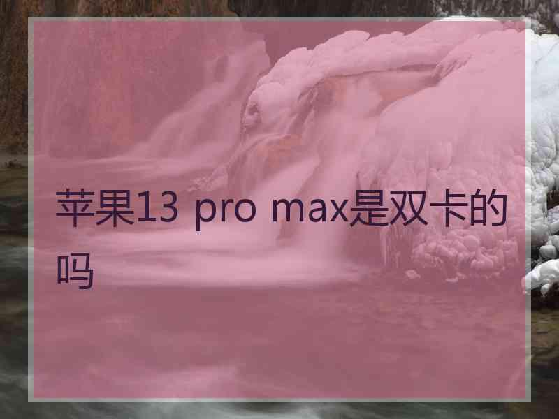 苹果13 pro max是双卡的吗