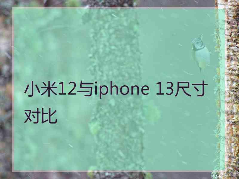 小米12与iphone 13尺寸对比