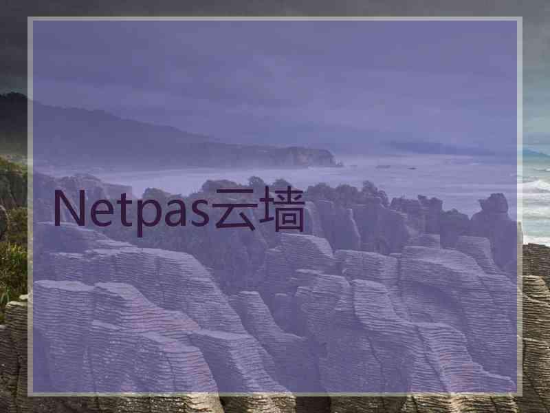 Netpas云墙