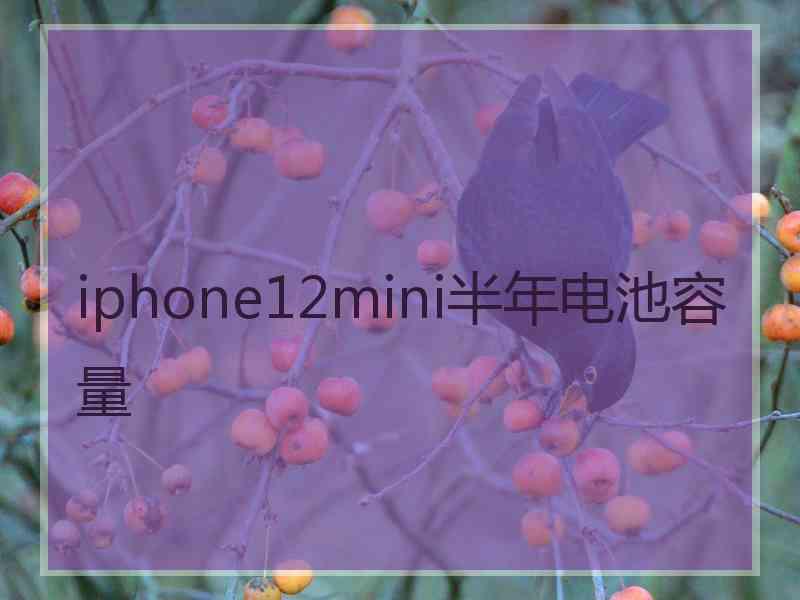 iphone12mini半年电池容量