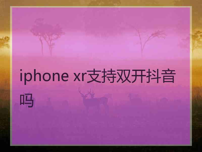 iphone xr支持双开抖音吗