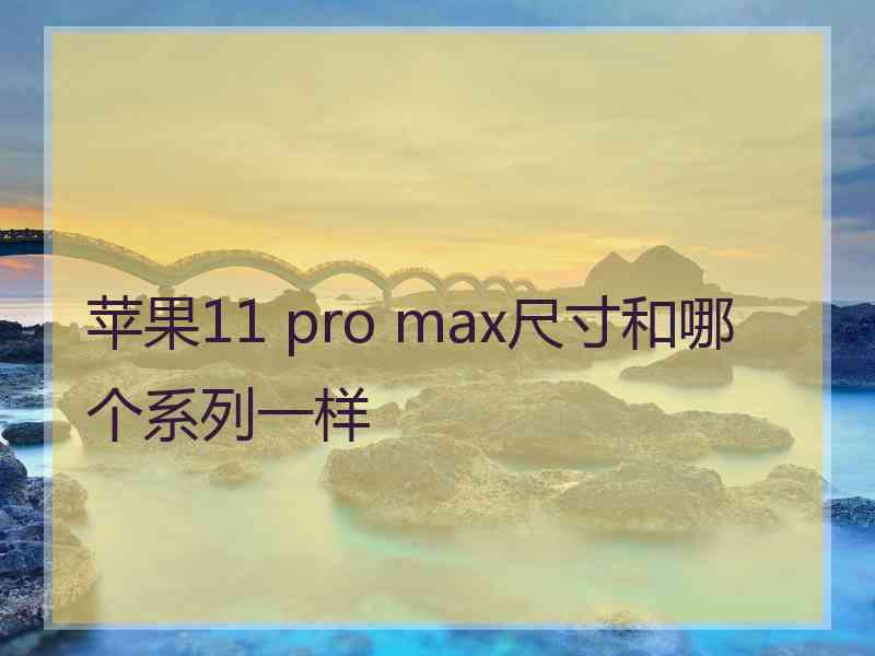 苹果11 pro max尺寸和哪个系列一样