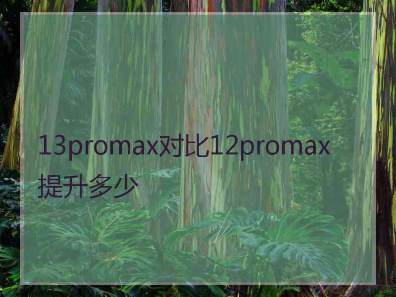 13promax对比12promax提升多少