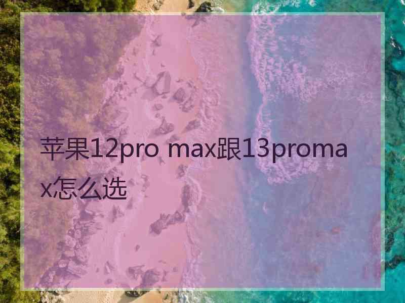 苹果12pro max跟13promax怎么选