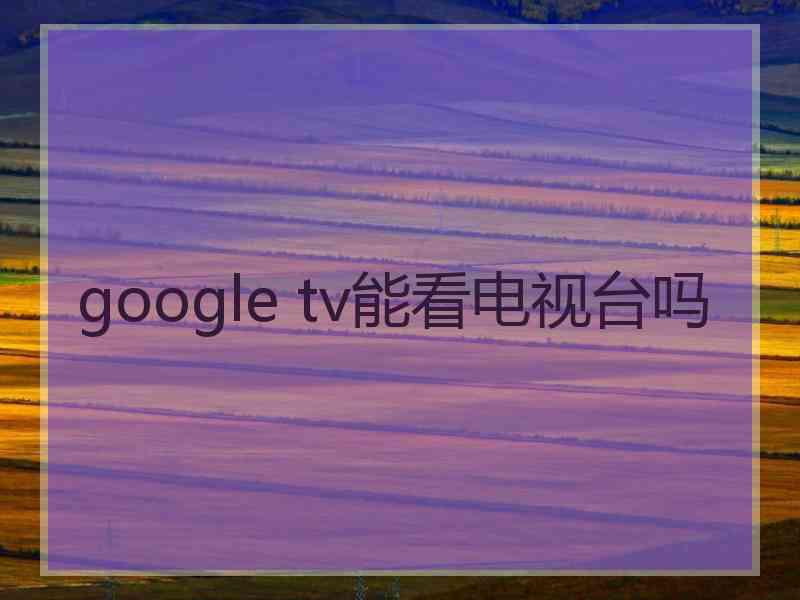 google tv能看电视台吗