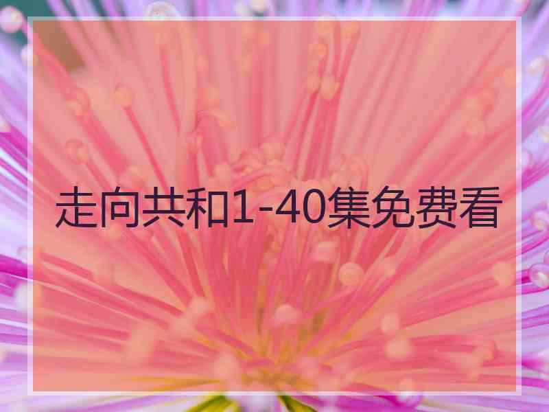 走向共和1-40集免费看