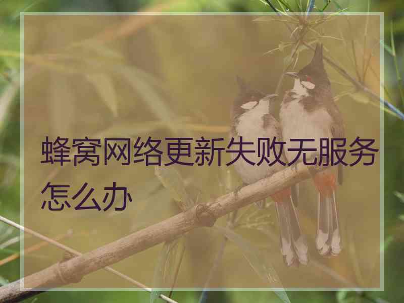 蜂窝网络更新失败无服务怎么办