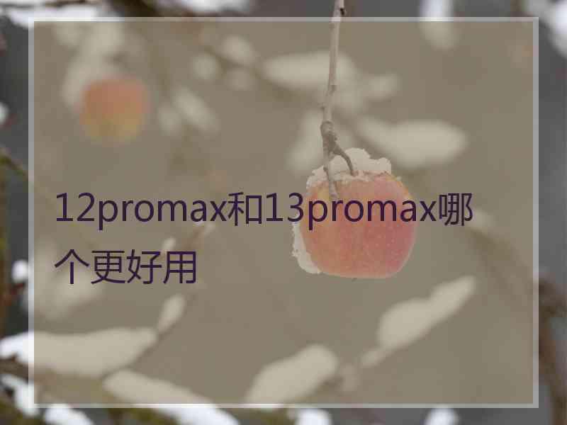 12promax和13promax哪个更好用