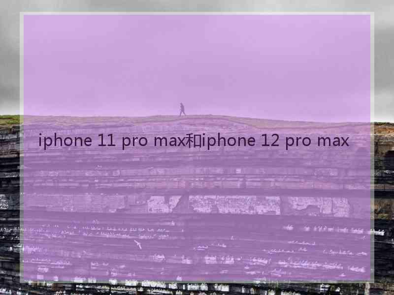 iphone 11 pro max和iphone 12 pro max