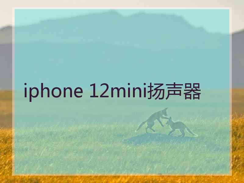 iphone 12mini扬声器