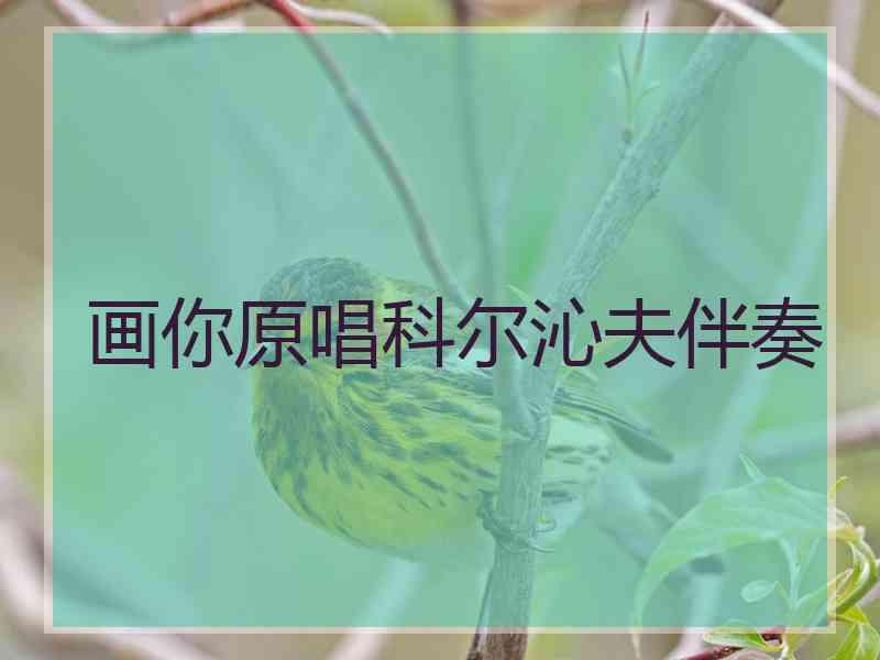 画你原唱科尔沁夫伴奏