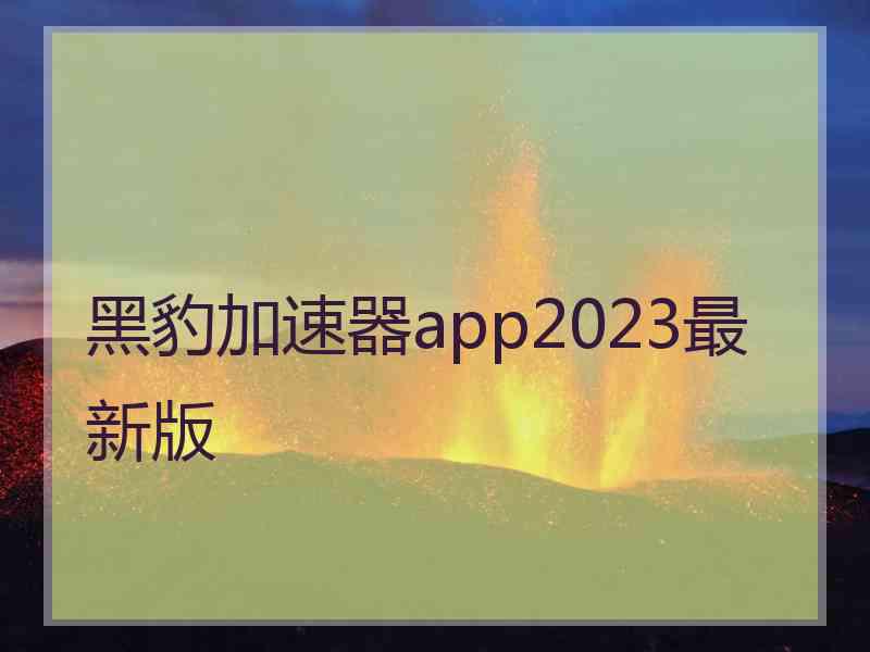 黑豹加速器app2023最新版