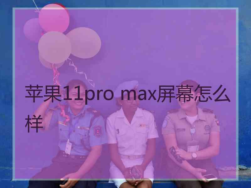 苹果11pro max屏幕怎么样