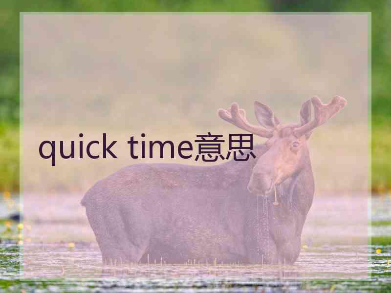 quick time意思