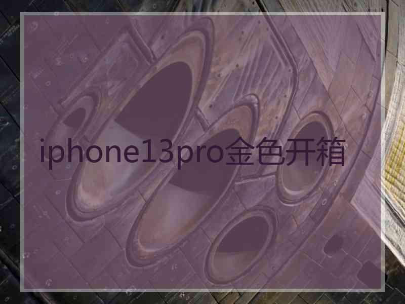 iphone13pro金色开箱