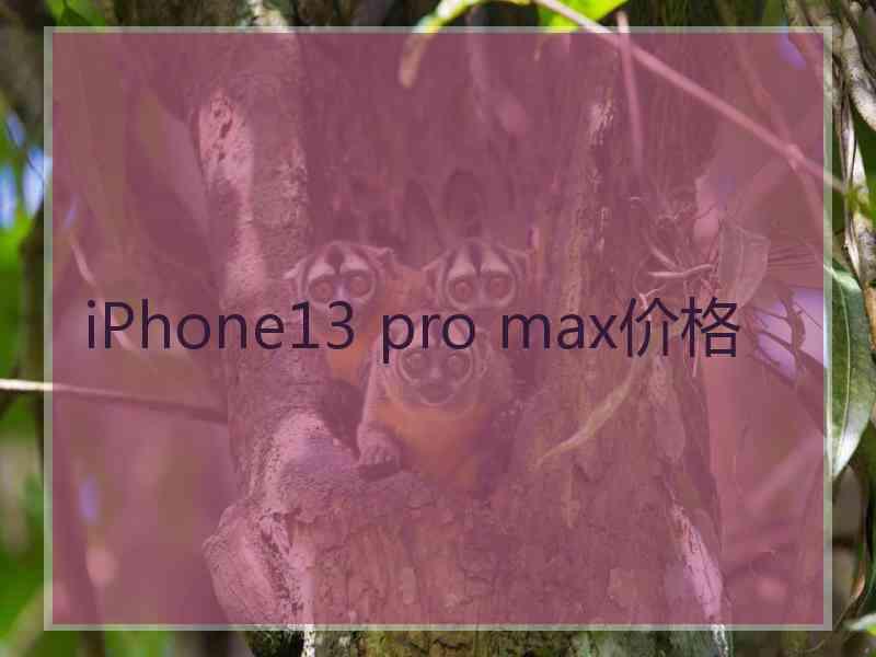 iPhone13 pro max价格