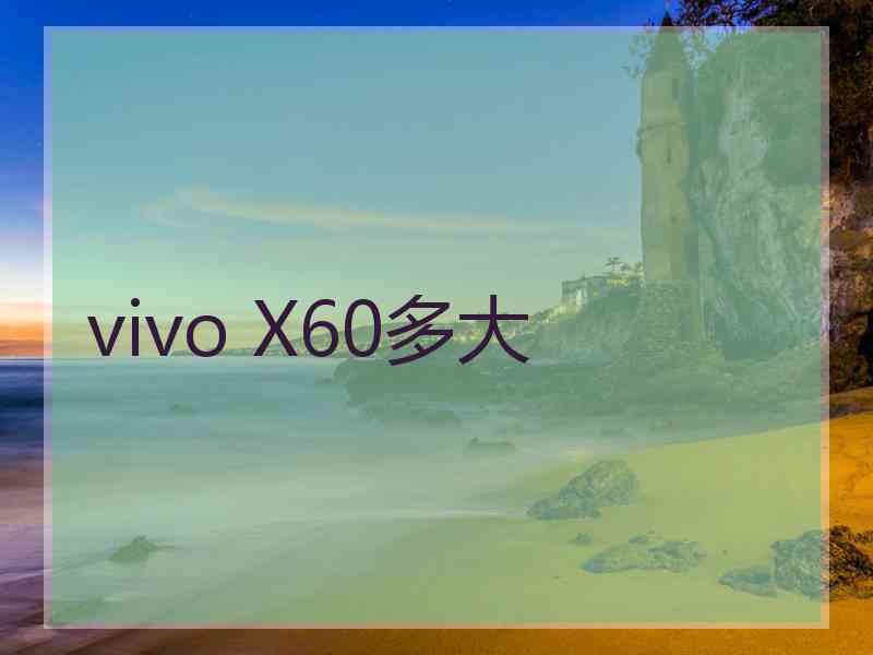 vivo X60多大