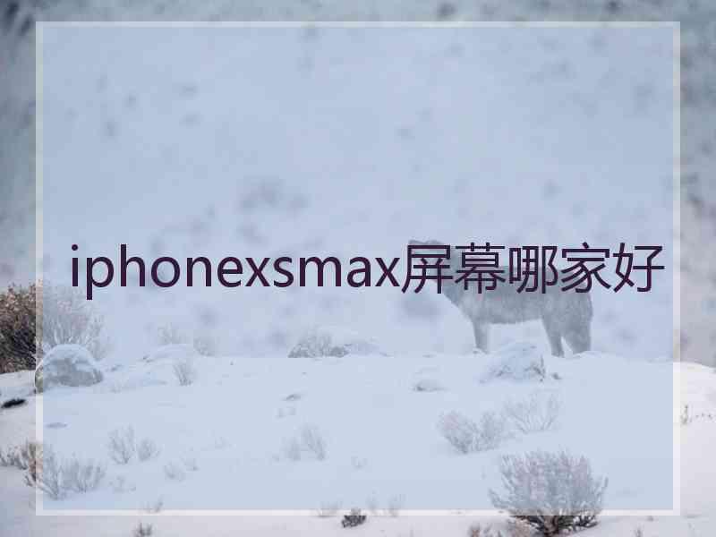 iphonexsmax屏幕哪家好