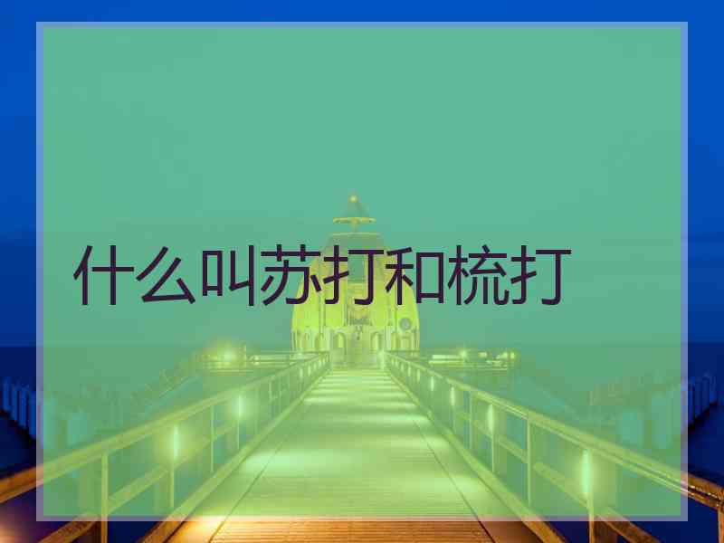 什么叫苏打和梳打