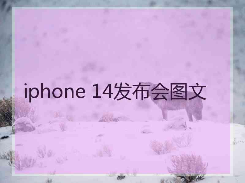 iphone 14发布会图文