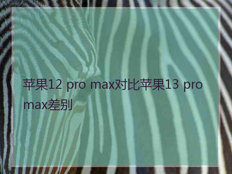 苹果12 pro max对比苹果13 pro max差别