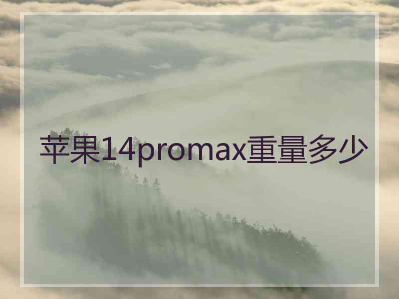 苹果14promax重量多少