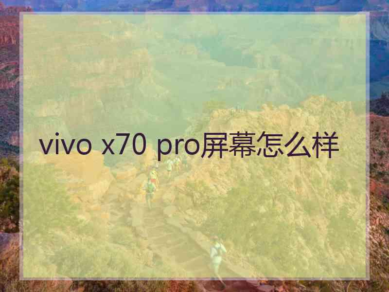 vivo x70 pro屏幕怎么样