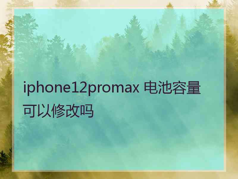 iphone12promax 电池容量可以修改吗