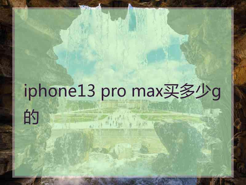 iphone13 pro max买多少g的