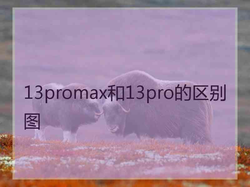 13promax和13pro的区别图