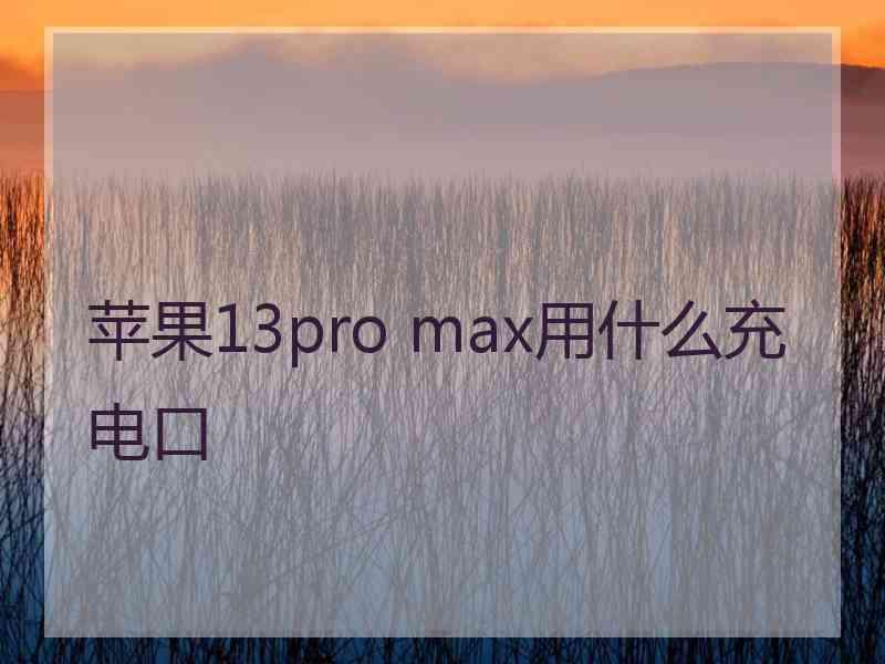 苹果13pro max用什么充电口