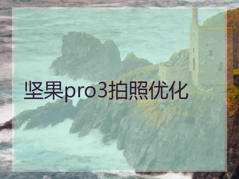 坚果pro3拍照优化