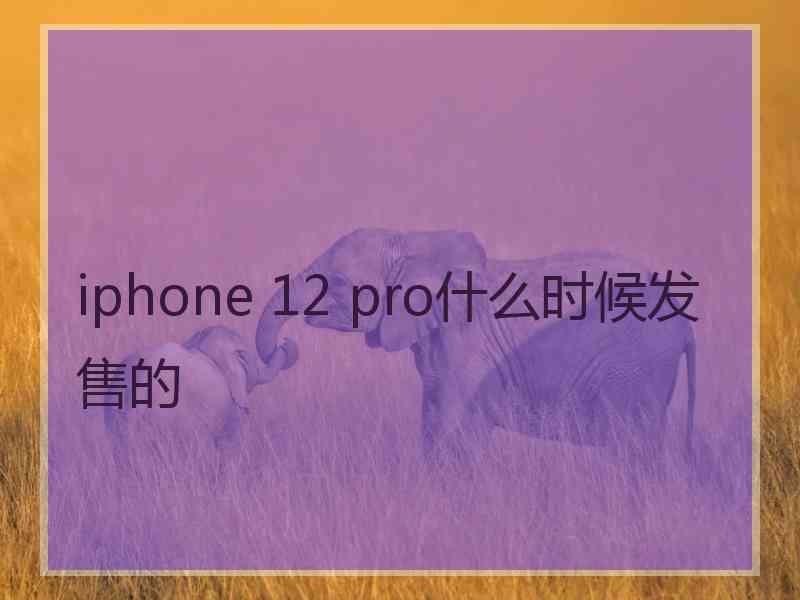 iphone 12 pro什么时候发售的