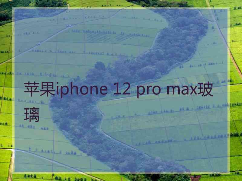 苹果iphone 12 pro max玻璃