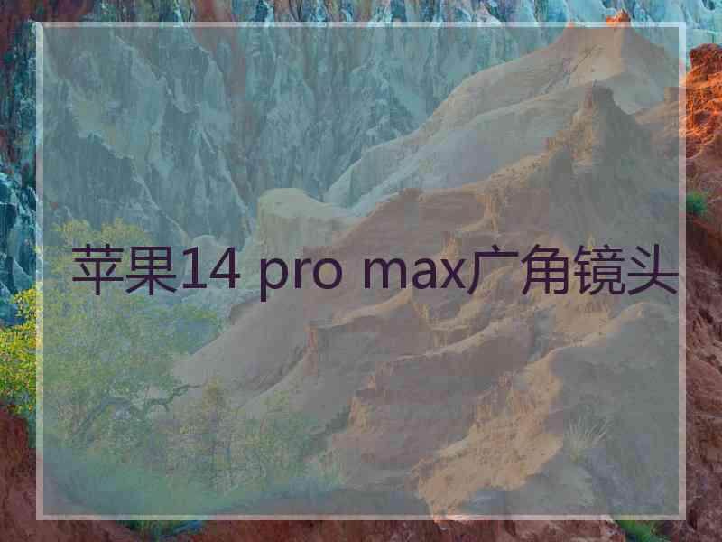 苹果14 pro max广角镜头