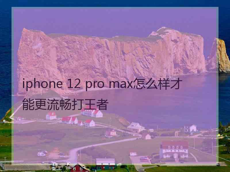 iphone 12 pro max怎么样才能更流畅打王者