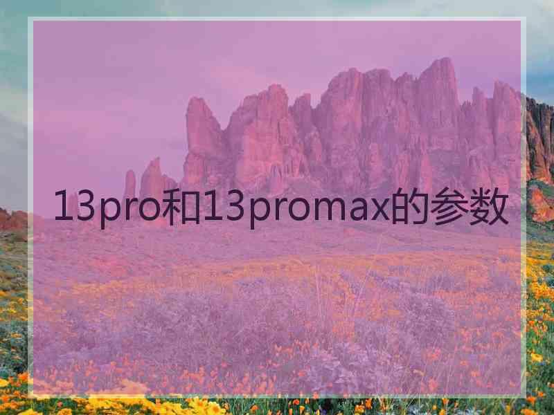 13pro和13promax的参数