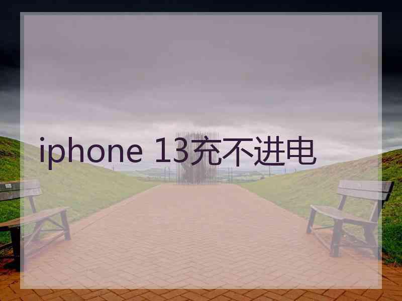 iphone 13充不进电