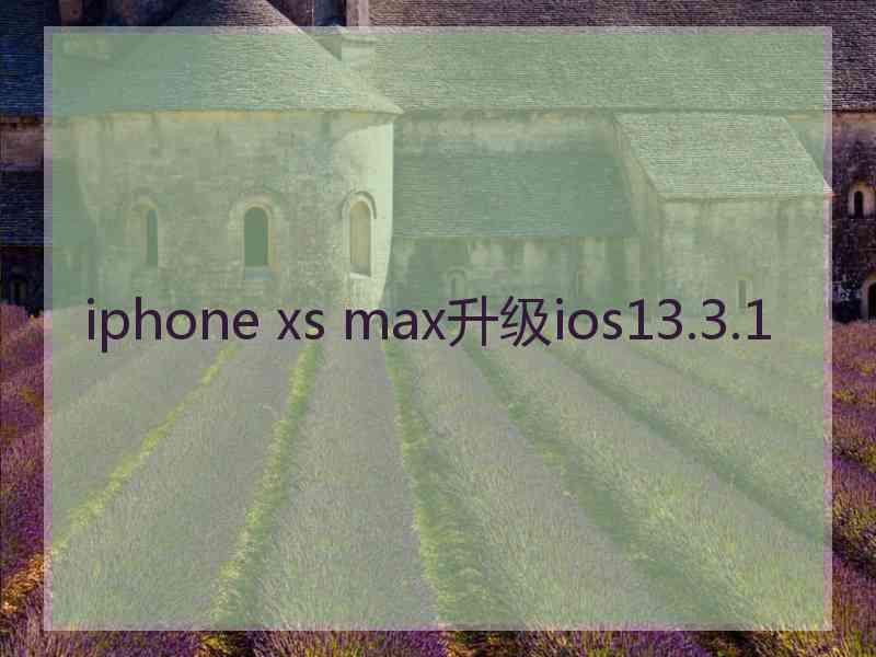 iphone xs max升级ios13.3.1