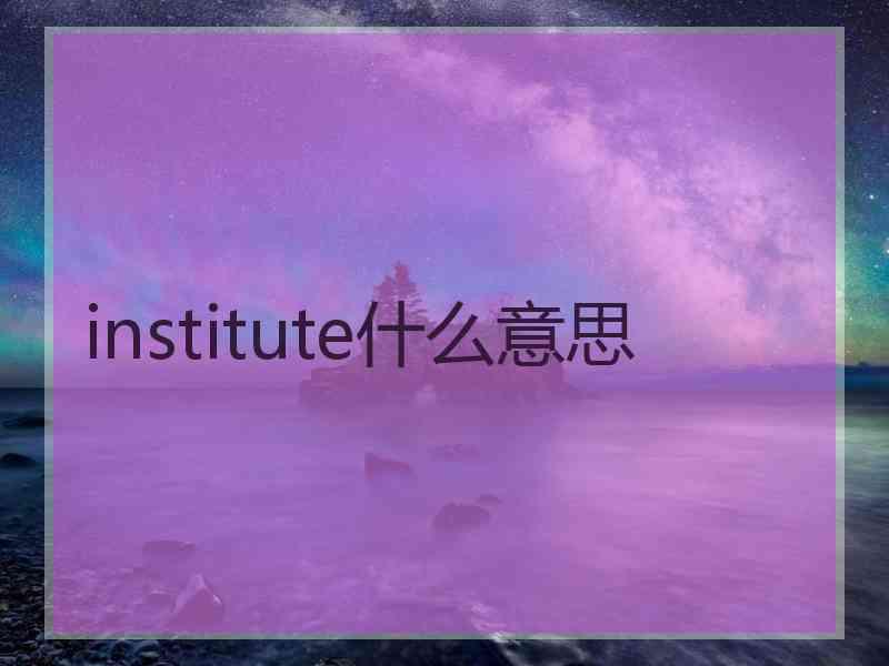 institute什么意思