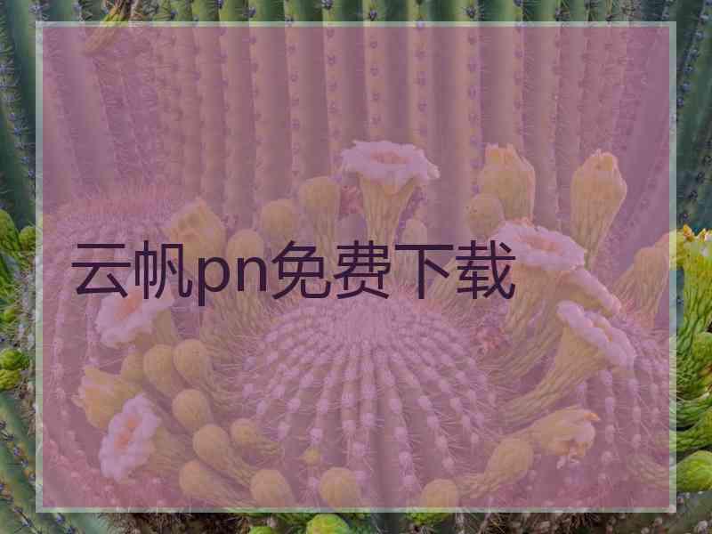 云帆pn免费下载