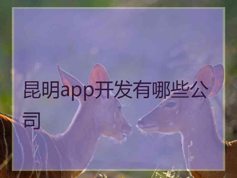 昆明app开发有哪些公司