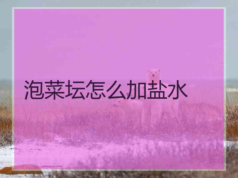 泡菜坛怎么加盐水