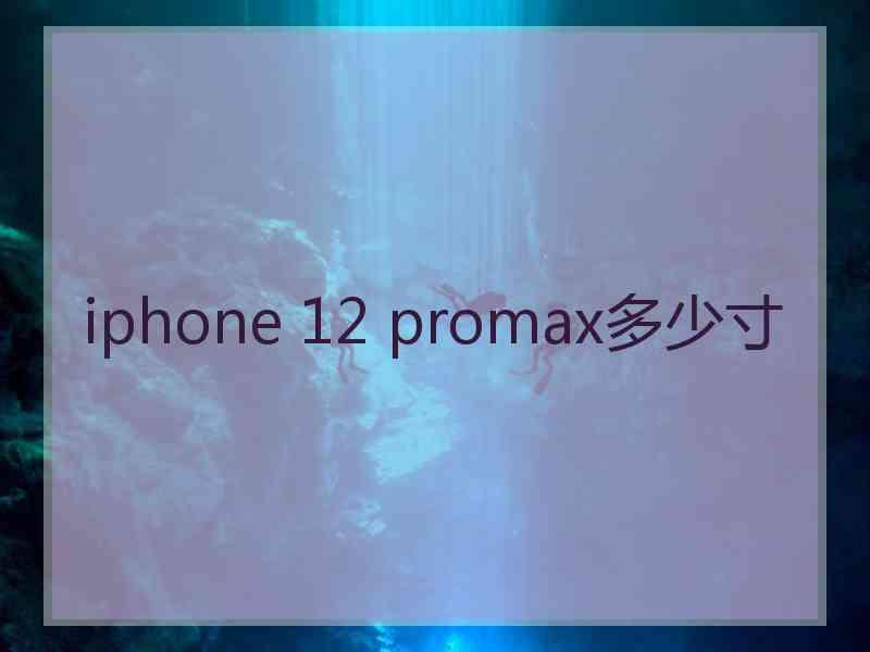 iphone 12 promax多少寸