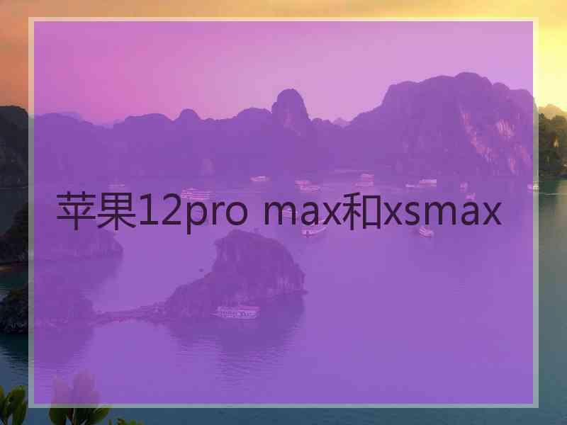 苹果12pro max和xsmax