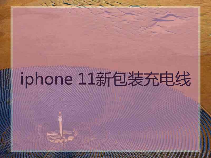 iphone 11新包装充电线