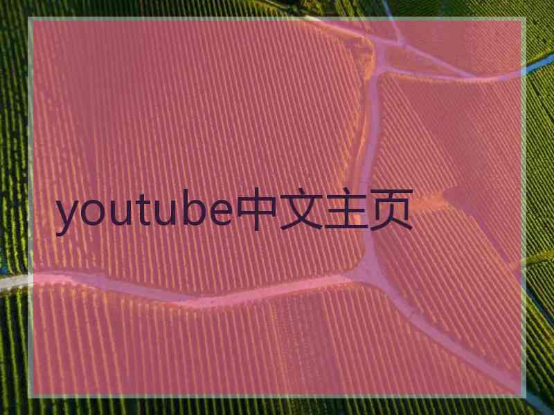 youtube中文主页